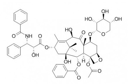 10-Deacetyl-7-xylosyl paclitaxel图片