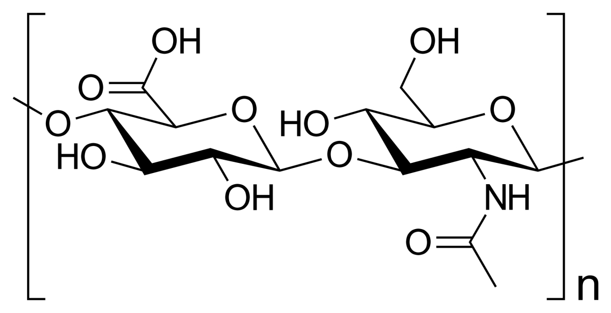 Hyaluronic acid(hyaluronan hyaluronate HA)ͼƬ