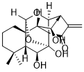 Rabdoternin AͼƬ