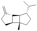 beta-BourboneneͼƬ