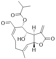 AcantholideͼƬ