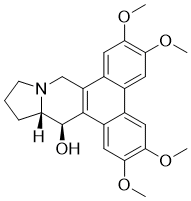 Tylophorine,(-)-ͼƬ