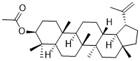 3-AcetyllupeolͼƬ