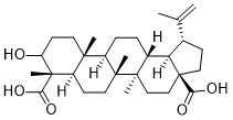 3-Hydroxylup-20(29)en-23,28-dioic acidͼƬ