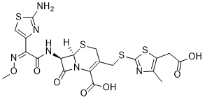 Cefodizime图片