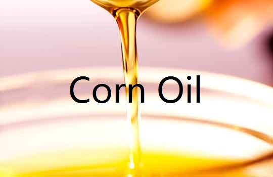 Corn oilͼƬ