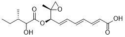 Toxin IIcͼƬ