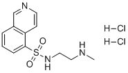 H8 dihydrochlorideͼƬ