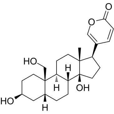 19-HydroxybufalinͼƬ