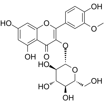 Isorhamnetin-3-O-glucoside图片