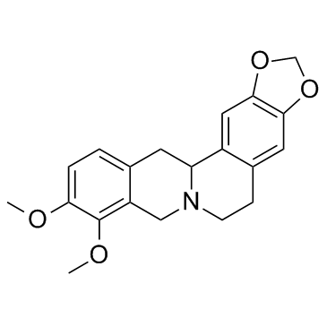 Tetrahydroberberine图片