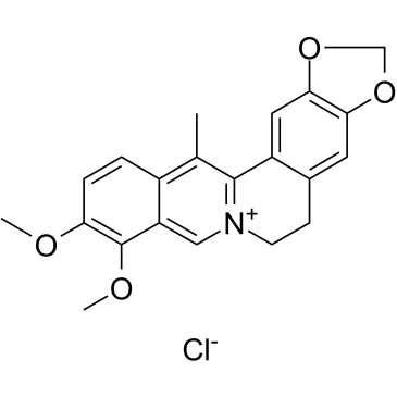 13-Methylberberine chlorideͼƬ