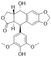 4'-DemethylepipodophyllotoxinͼƬ