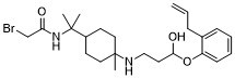 1-(2-Allylphenoxy)-3-((8-bromoacetylamino-4-menthane-1-yl)amino)-1-propanolͼƬ