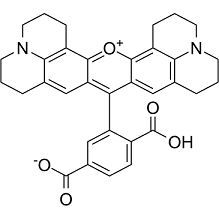 6-ROX图片