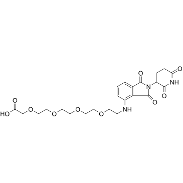 E3 Ligase Ligand-Linker Conjugates 1ͼƬ