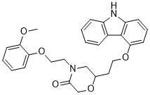 Homo-VK-II-36ͼƬ