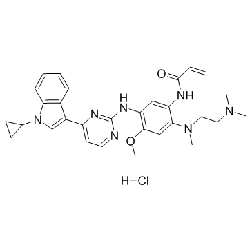 Almonertinib(HS-10296)hydrochlorideͼƬ