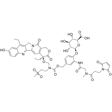 MAC glucuronide-hydroxy lactone-linked SN-38ͼƬ