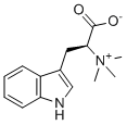 HypaphorineͼƬ