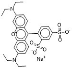 Sulforhodamine B sodium saltͼƬ