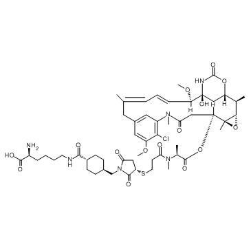 Lys-SMCC-DM1 TFAͼƬ