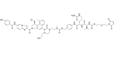 Modified MC-VC-PABCͼƬ