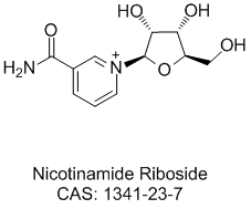 Nicotinamide ribosideͼƬ