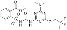 Triflusulfuron-methylͼƬ