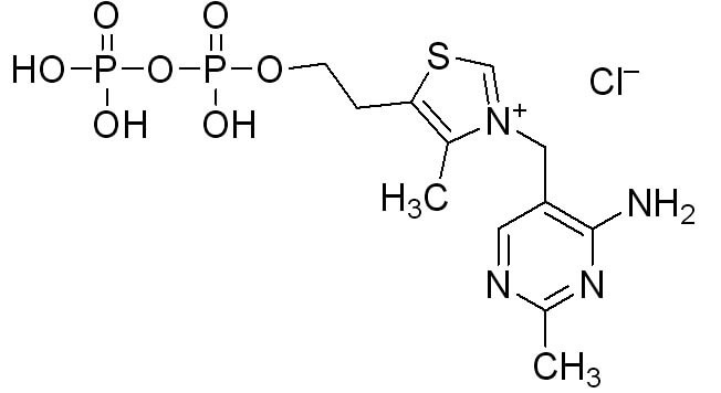 Thiamine pyrophosphateͼƬ