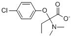 Meclofenoxate(Centrophenoxine)ͼƬ