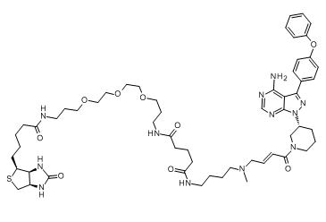 Ibrutinib-biotinͼƬ