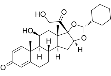 Desisobutyryl-ciclesonide(CIC-AP Ciclesonide active principle)ͼƬ