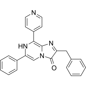 8pyDTZ图片