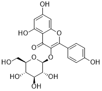 astragalinͼƬ