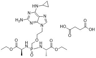 Rabacfosadine succinate图片