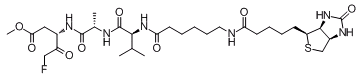 Biotin-VAD-FMKͼƬ