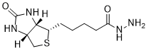 Biotin HydrazideͼƬ