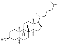 CoprosterolͼƬ