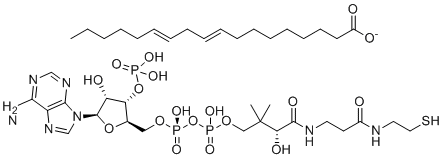 Linoleoyl-coenzyme AͼƬ