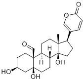 HellebrigeninͼƬ