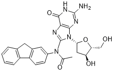 Acetylaminofluorene-dGͼƬ