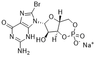 8-Br-cGMP图片