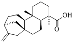 Kaurenoic acidͼƬ