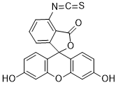 6-FITCͼƬ