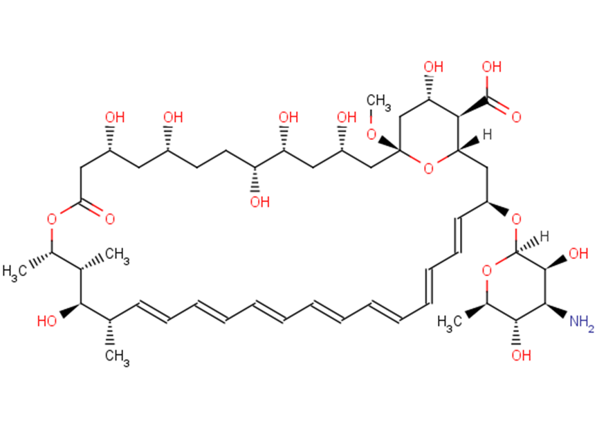 Amphotericin X1ͼƬ