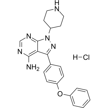 N-piperidine Ibrutinib HClͼƬ