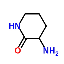 3-Amino-2-piperidinoneͼƬ