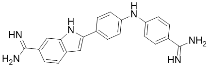 SynucleozidͼƬ