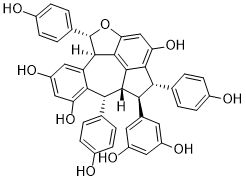 Ampelopsin CͼƬ